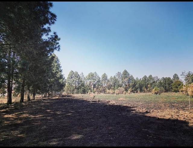 LAND FOR SALE IN WALKERVILLE CENTRAL